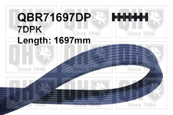 QUINTON HAZELL V formos rumbuoti diržai QBR71697DP